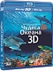 ������ ������ Real 3D2D